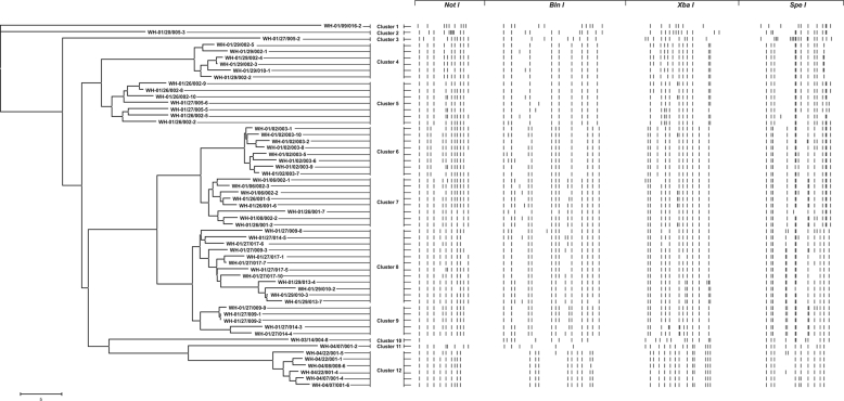 FIG. 1.