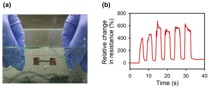 Figure 7