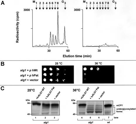 Figure  6