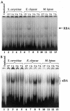 FIG. 5.