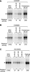FIG. 8.