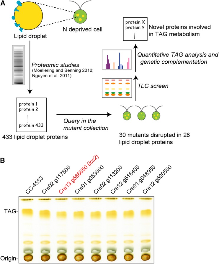 Figure 6.