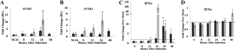 FIG 3