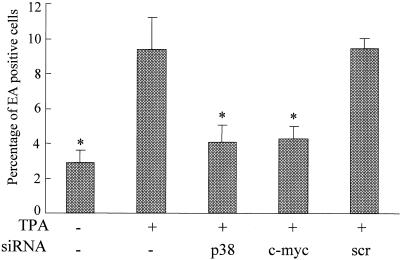 FIG. 5.