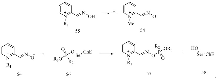 Scheme 6