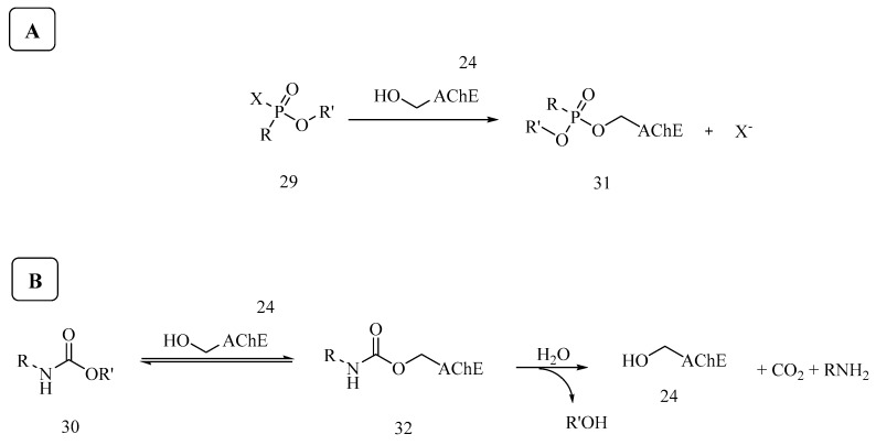 Scheme 3