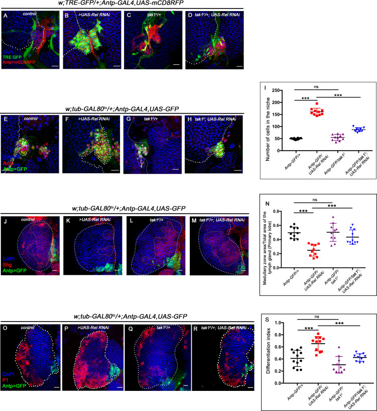 Figure 5—figure supplement 3.