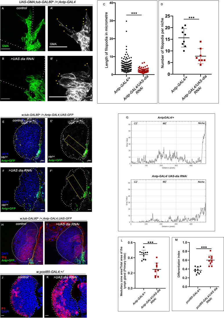 Figure 4—figure supplement 1.