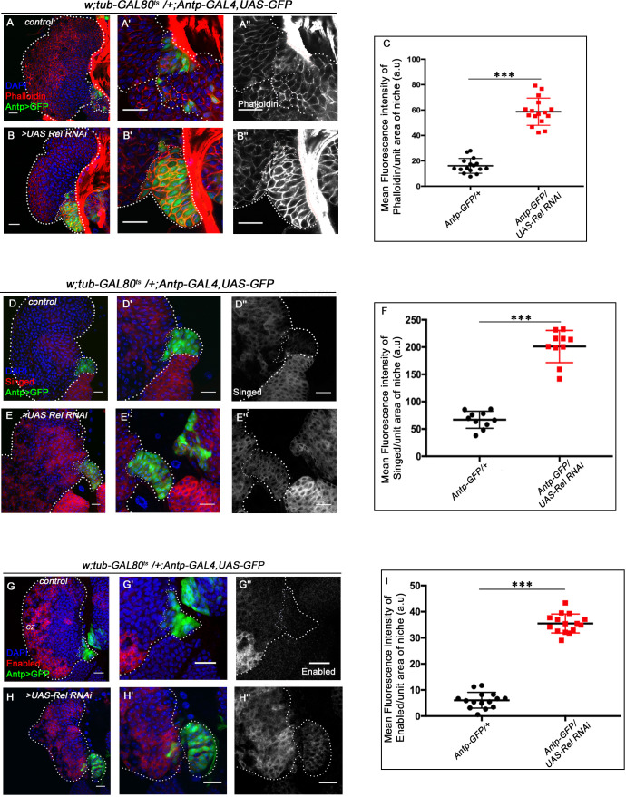 Figure 4—figure supplement 2.