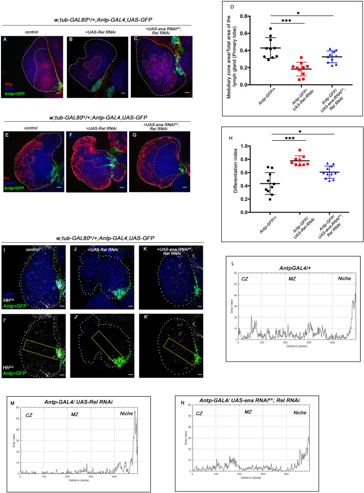 Figure 4—figure supplement 3.