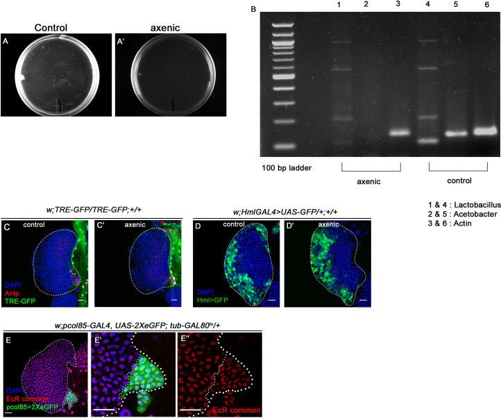 Figure 6—figure supplement 1.