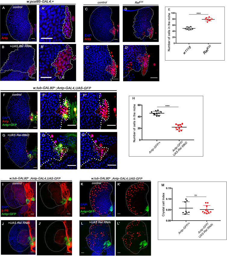 Figure 1—figure supplement 1.