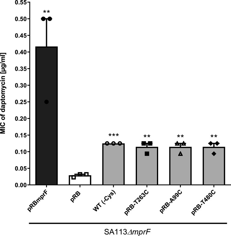 Figure 2—figure supplement 1.