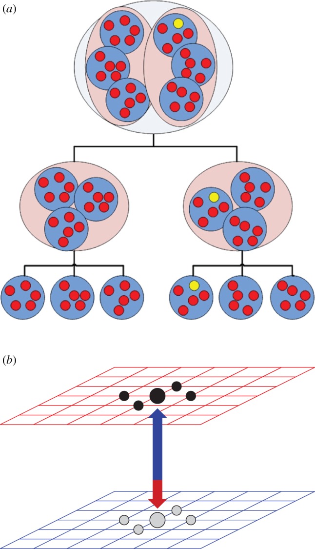 Figure 11.