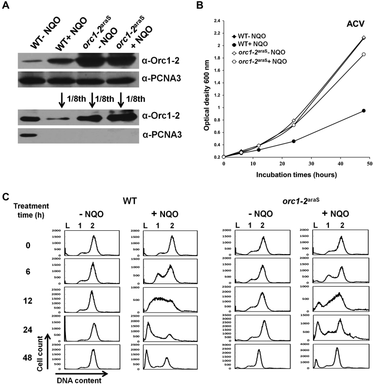 Figure 6.