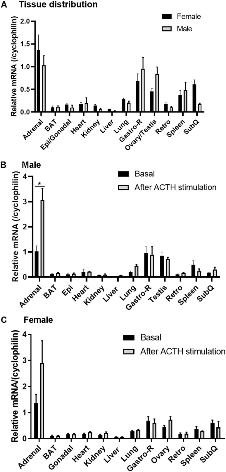 Figure 1.