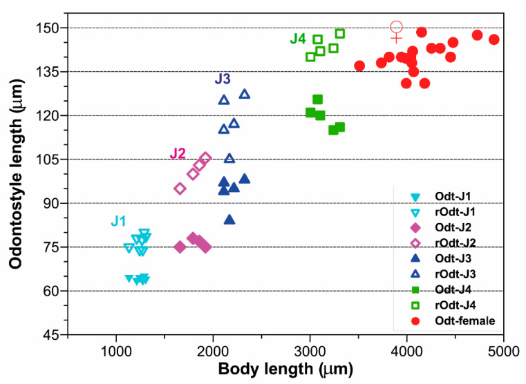 Figure 10