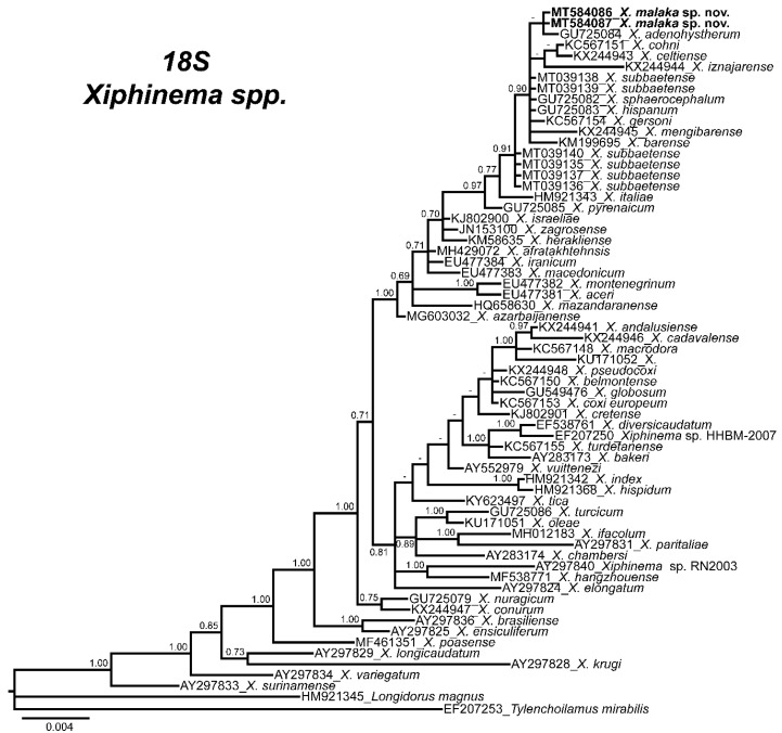 Figure 5