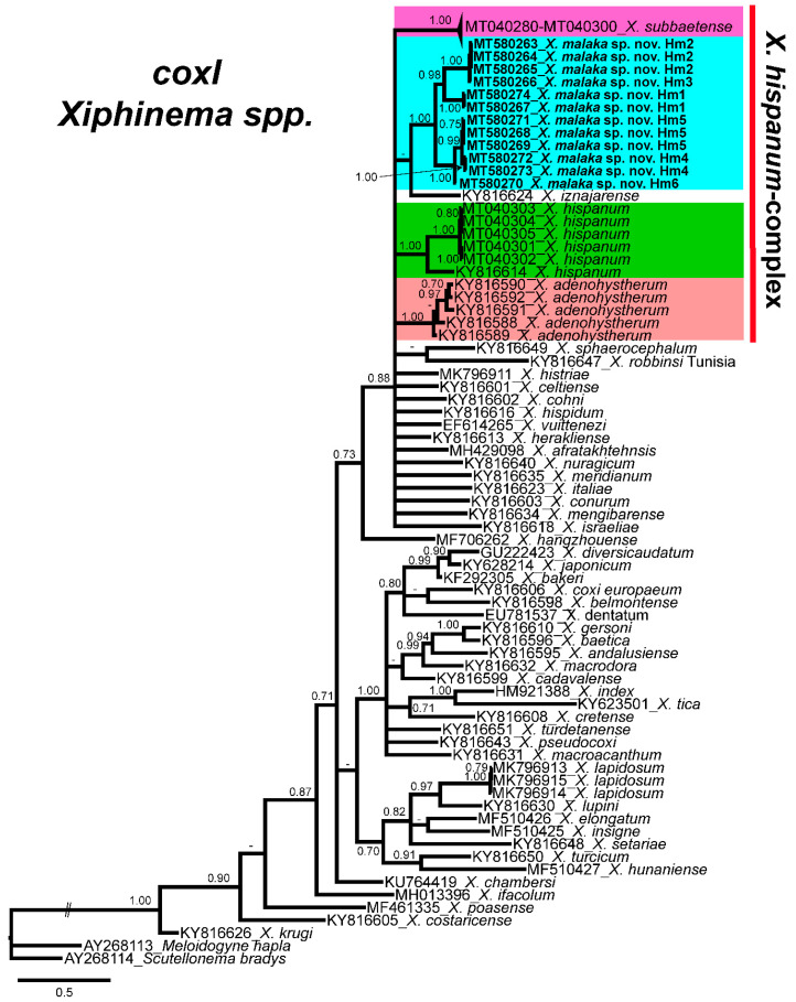 Figure 6