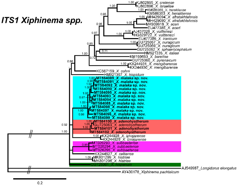 Figure 4