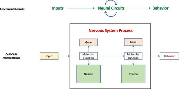 graphic file with name nihpp-2023.04.28.538760v4-f0001.jpg