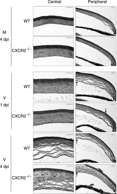 FIG. 6.
