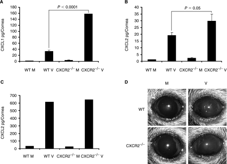FIG. 8.