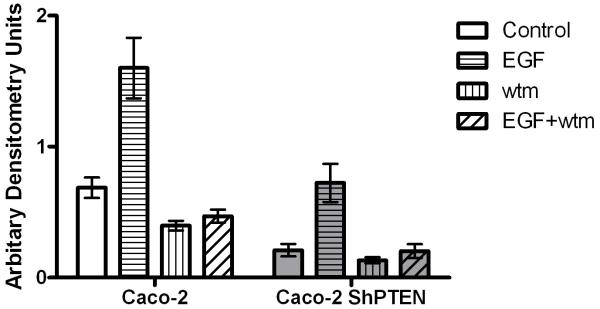 Fig 2c