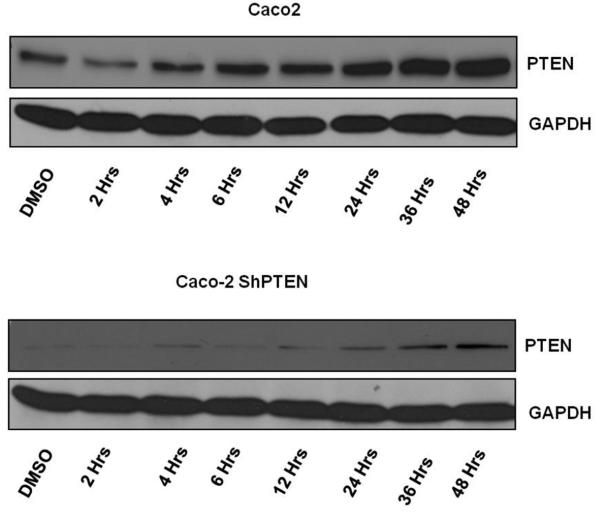 Fig 5a