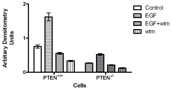 Fig 2b