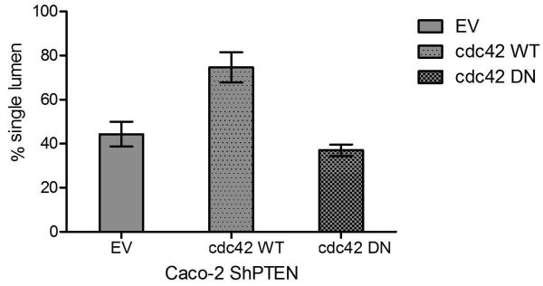 Fig 3e