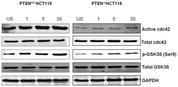 Fig 1d