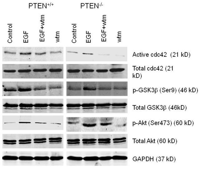 Fig 2a