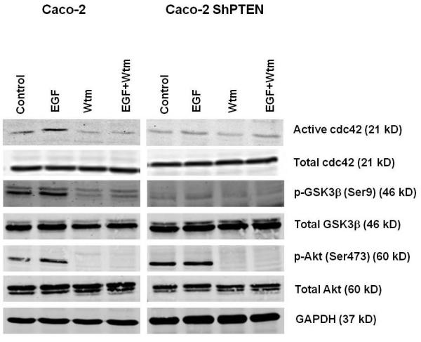 Fig 2a