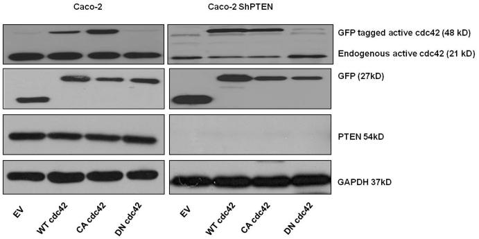 Fig 3c