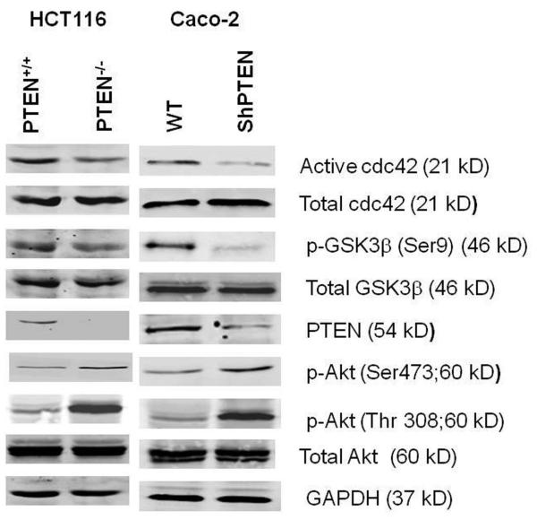 Fig 1a