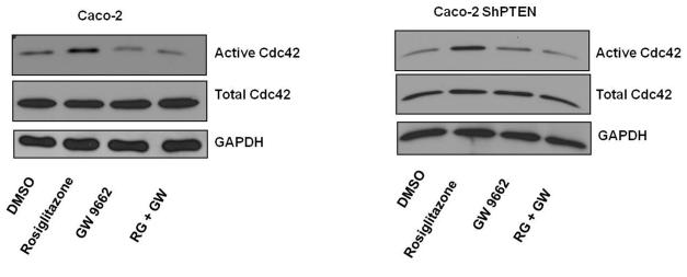 Fig 5b