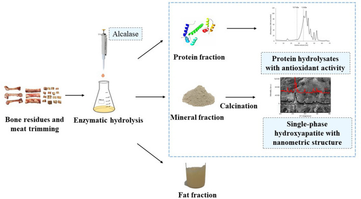 graphic file with name 40643_2022_522_Figa_HTML.jpg