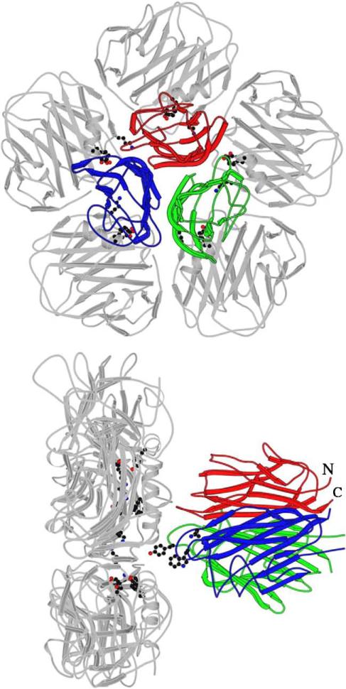 Fig. 1