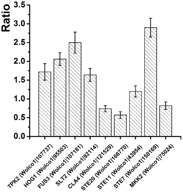 FIGURE 2