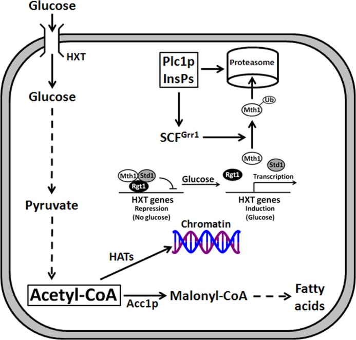 FIGURE 9.