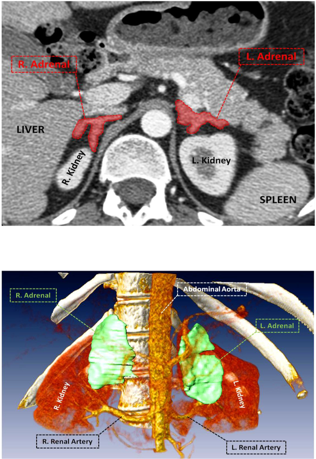 Figure 3: