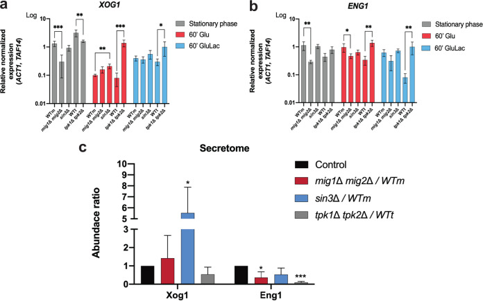 FIG 6