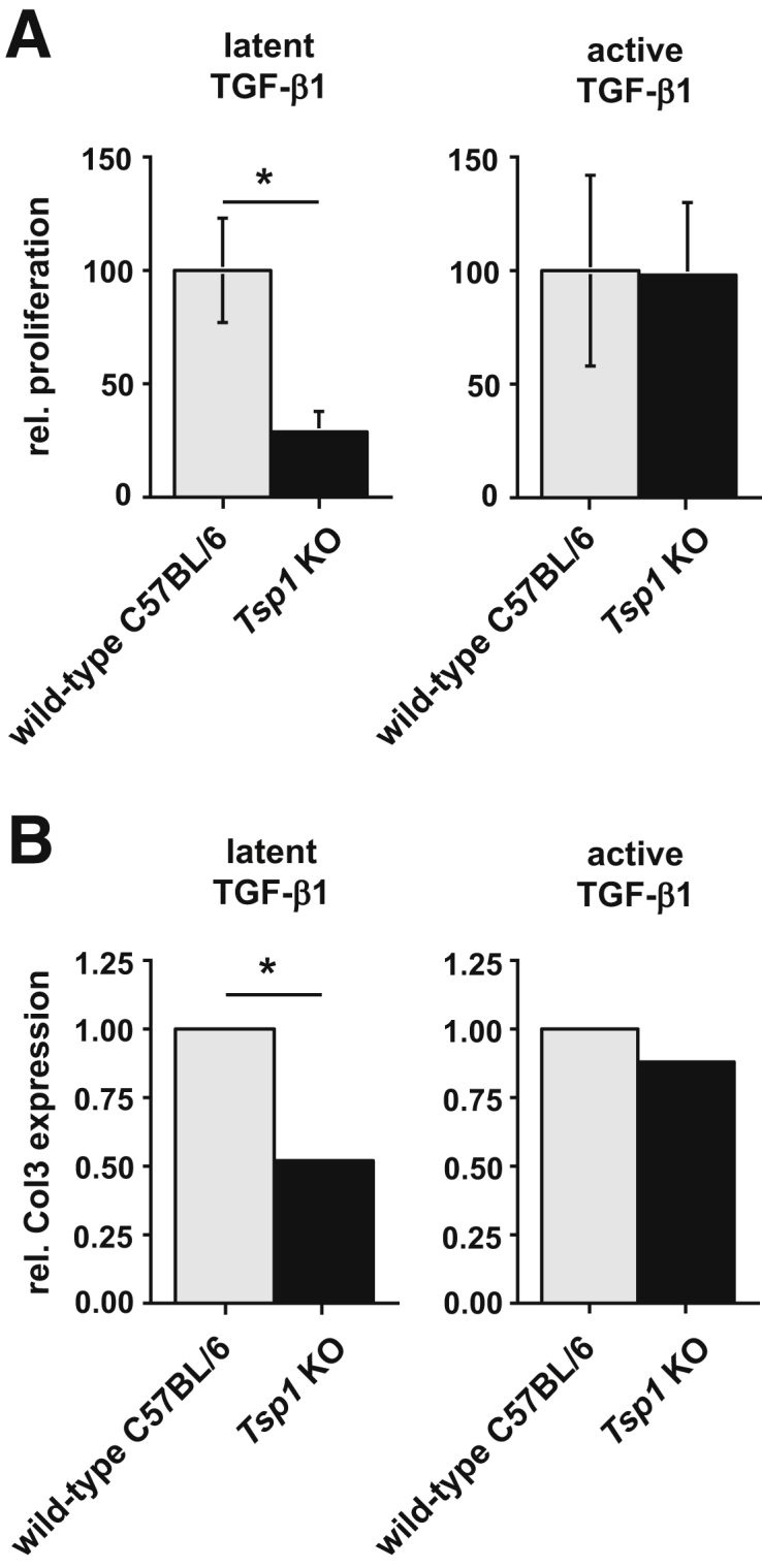 Figure 11