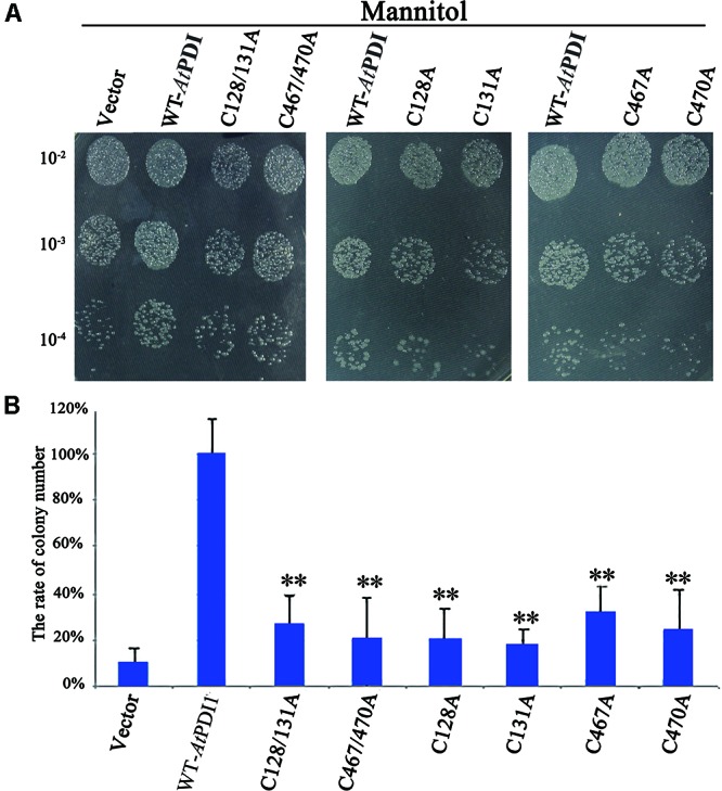 FIGURE 4