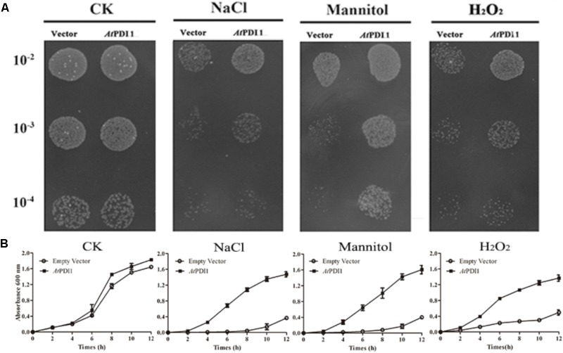 FIGURE 3