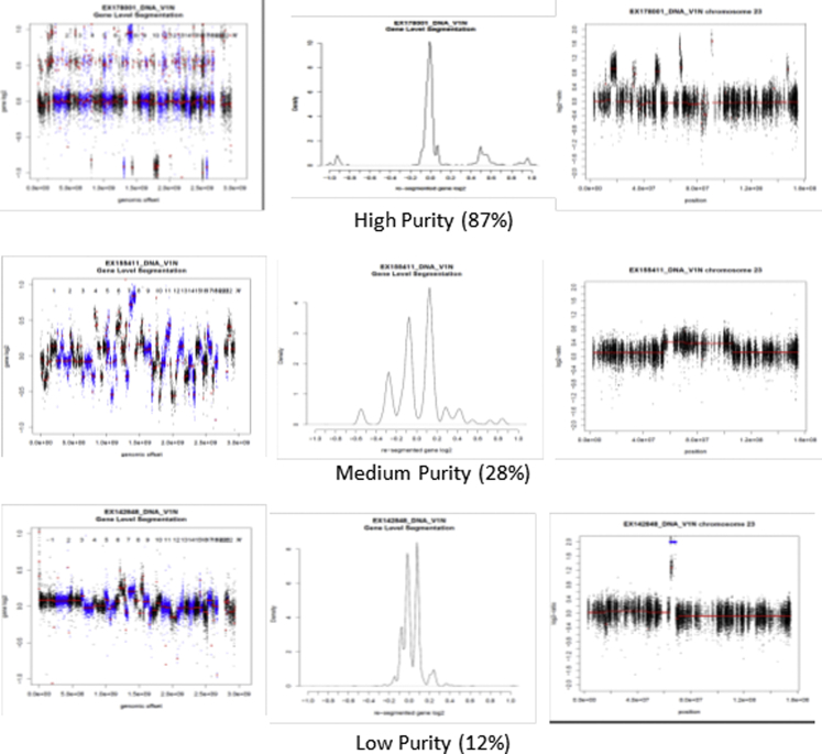 Supplemental Figure 1