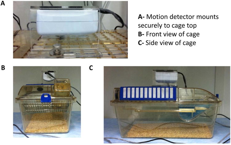 Figure 4