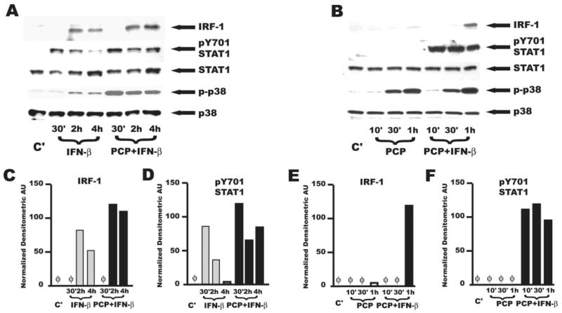 FIGURE 4