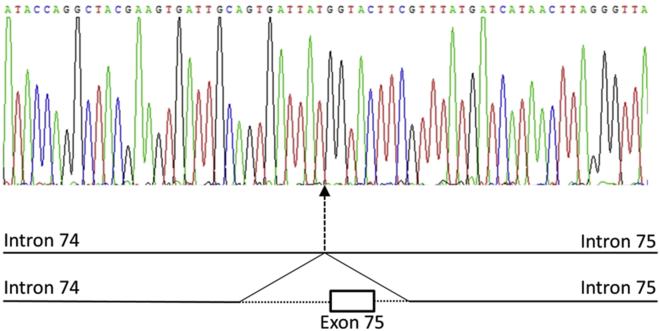 Figure 3